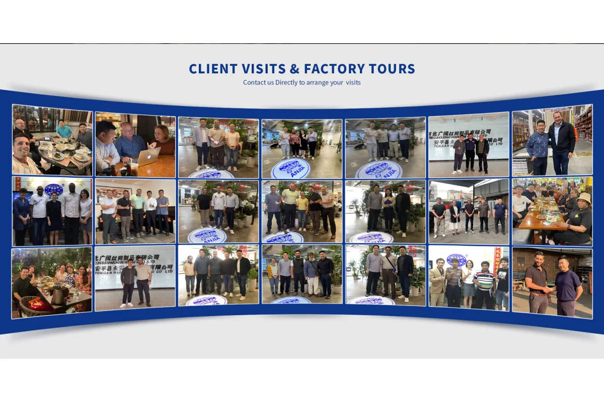 Anjia Group team with global clients and international partners – factory visit group photo collage